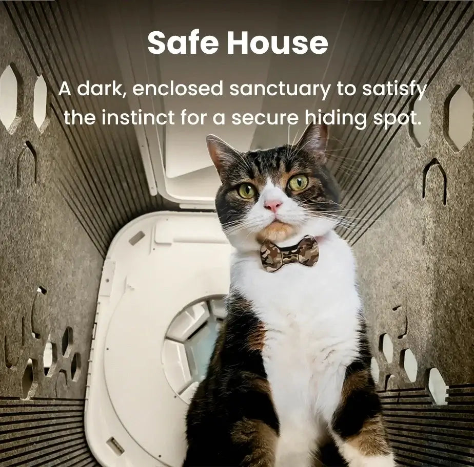 PawSwing Neo Self Grooming Cat House