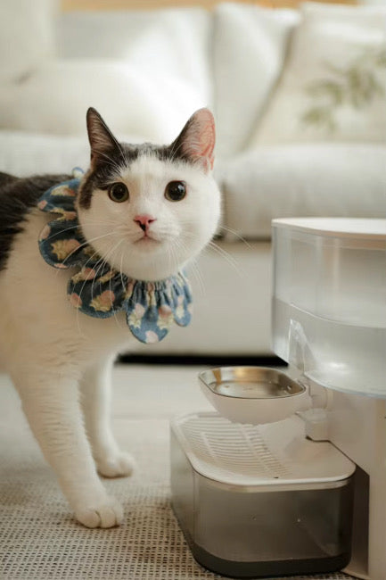 AlwaysFresh Filterless Pet Water Dispenser