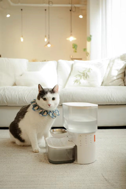AlwaysFresh Filterless Pet Water Dispenser