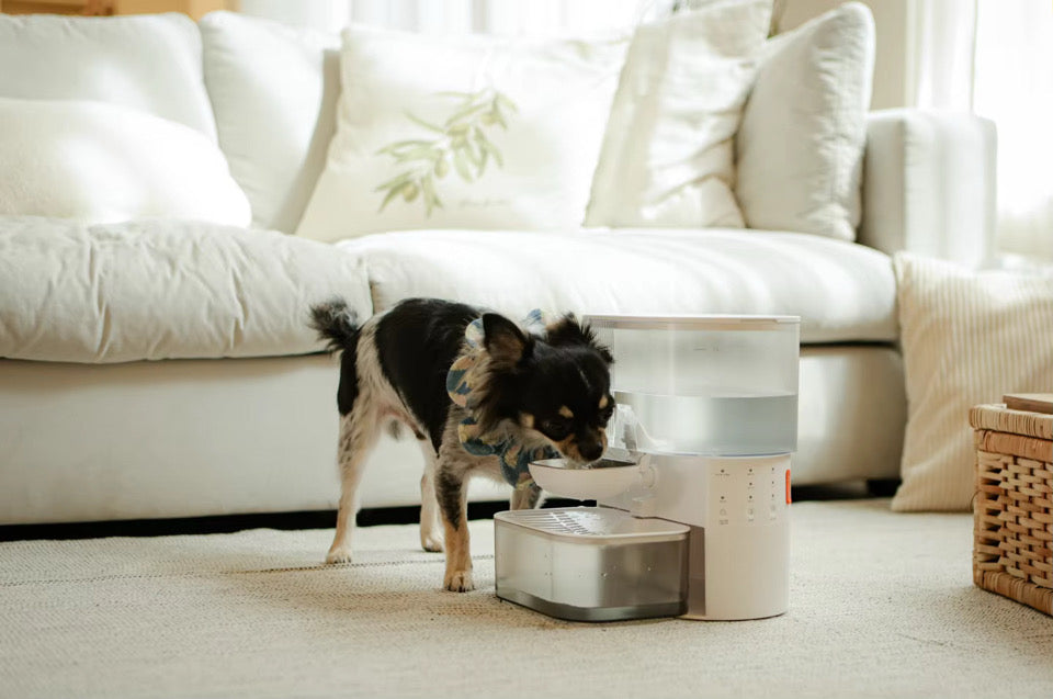 AlwaysFresh Filterless Pet Water Dispenser